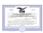 Professional Association Certificates (PA)