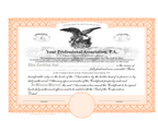 Professional Association Certificates (PA)