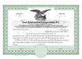 Professional Corporation Stock Certificates