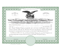 Professional Limited Liability Company Certificates (PLLC)