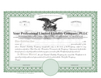 Professional Limited Liability Company Certificates (PLLC)