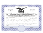 Professional Limited Liability Company Certificates (PLLC)
