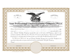 Professional Limited Liability Company Certificates (PLLC)