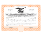 Professional Limited Liability Company Certificates (PLLC)