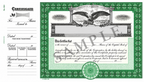 GOES 364 Certificates with Side Stub – Capital Stock, Loose with Gray Backer, Pack of 100