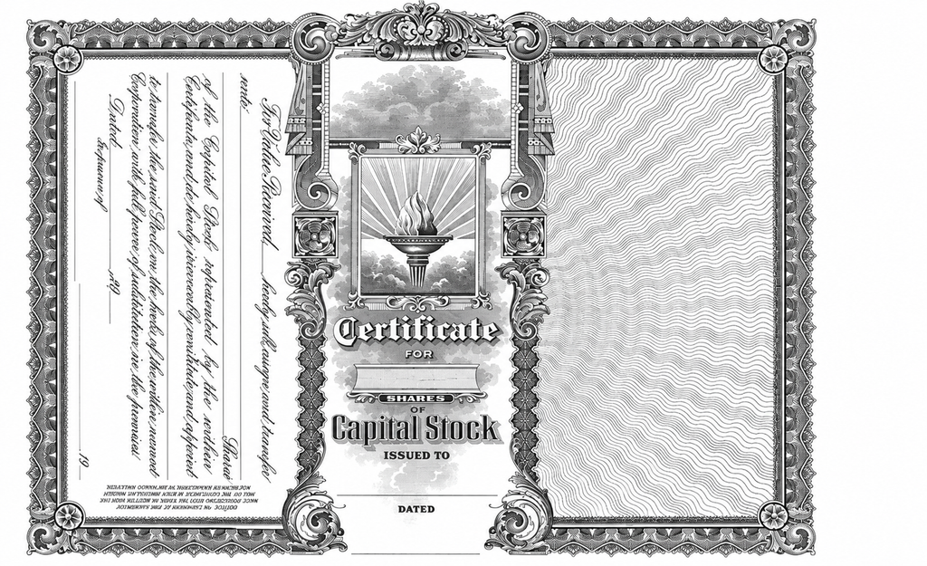 GOES 364 Certificates with Side Stub – Capital Stock, Loose with Gray Backer, Pack of 100