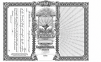 GOES 364 Certificates with Side Stub – Capital Stock, Loose with Gray Backer, Pack of 100