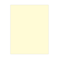 Product #4419 Letter Size Will Continuation Sheets