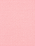 Product #870P Letter Size Pink Security Paper, 100 Qty