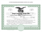 The Silver Eagle Kit®