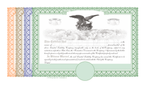 100 Blank Pre-Printed Standard Legend Certificates