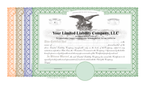 The Silver Eagle Kit®