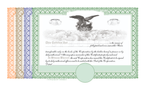 100 Blank Pre-Printed Standard Legend Certificates