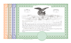 100 Blank Pre-Printed Standard Legend Certificates