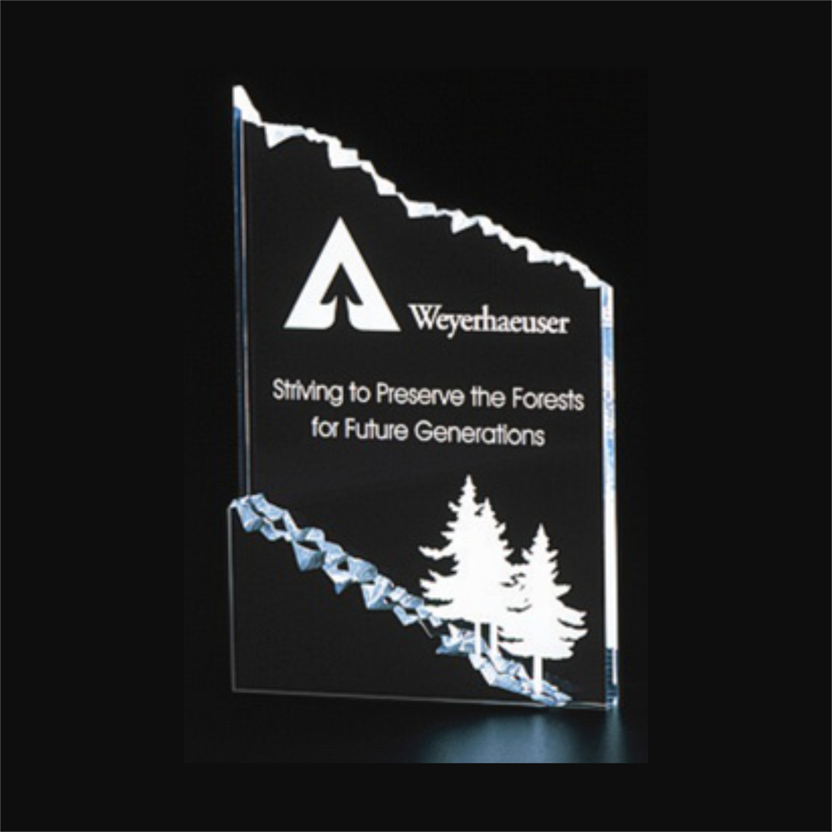 Engraved Frosted Mountain Award