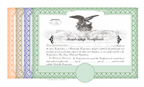 100 Blank Pre-Printed Standard Legend Certificates