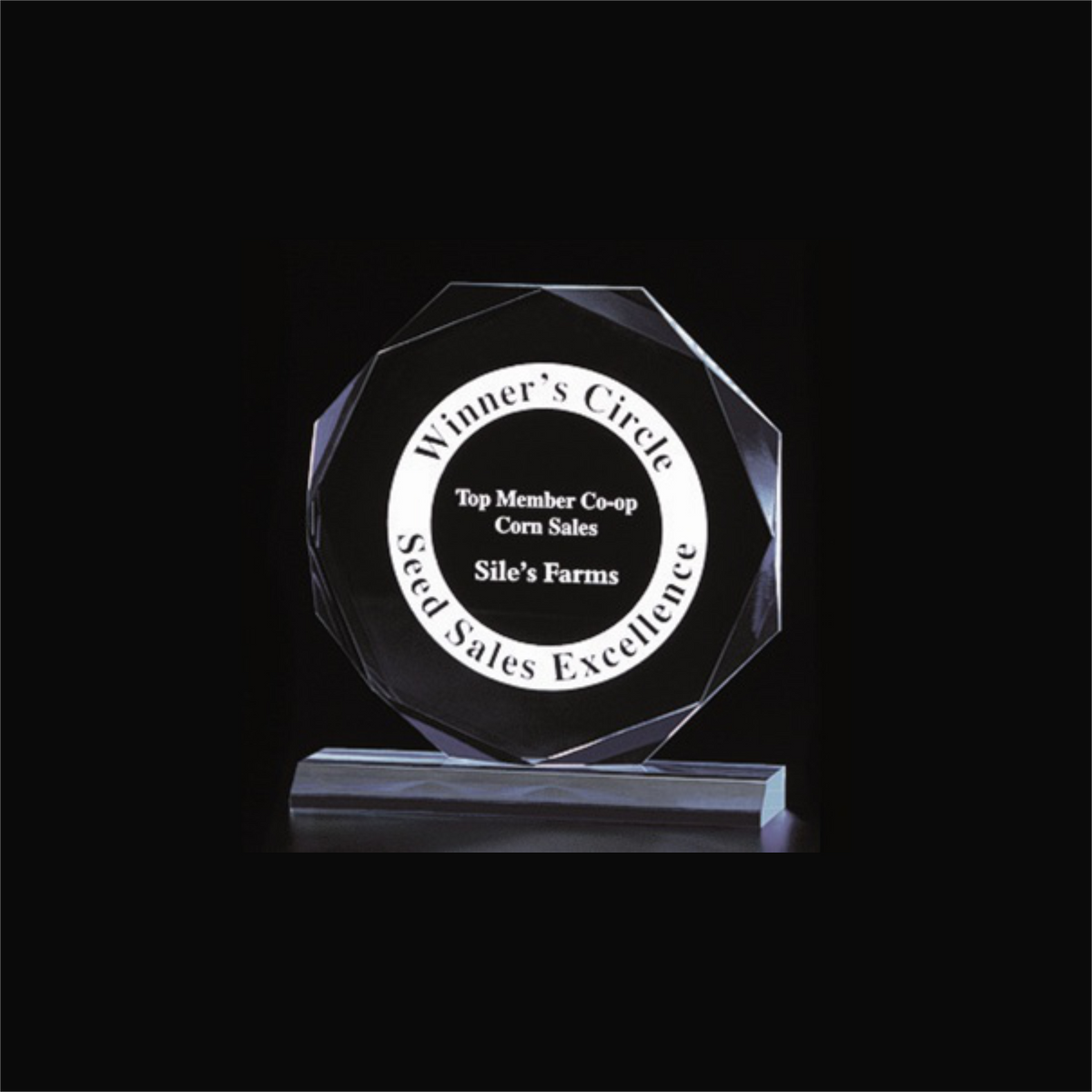 Engraved Octagon Award
