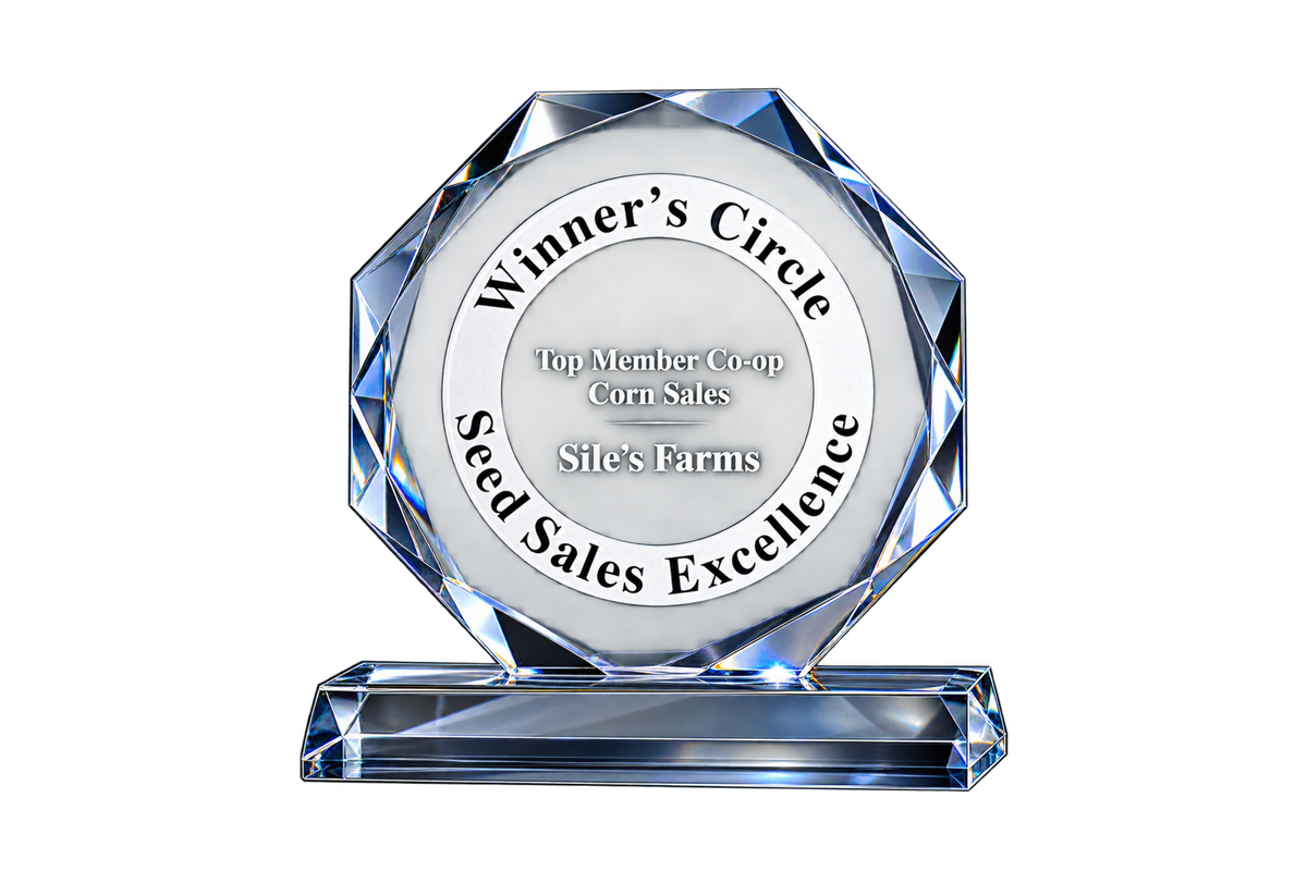 Engraved Octagon Award